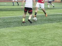 精准出击,排列三,期独家解析,河南体彩,河南体彩网,河南体彩网官网,体育彩票,体彩大乐透,竞彩足球,体彩公益